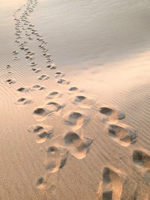 Foto d'estoc gratuïta de consell, desert, direcció