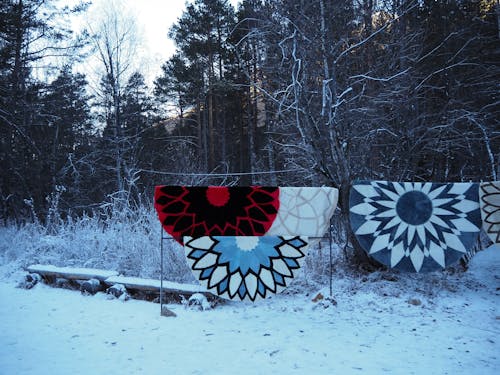 halılar, kış, kış ormanı içeren Ücretsiz stok fotoğraf