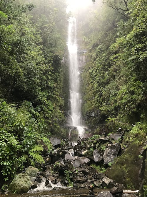 Waterfall in Forest