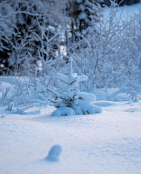 A serene winter scene featuring a snow-covered pine tree surrounded by frosty flora.
