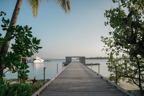 A Long Wooden Dock in the Beach 