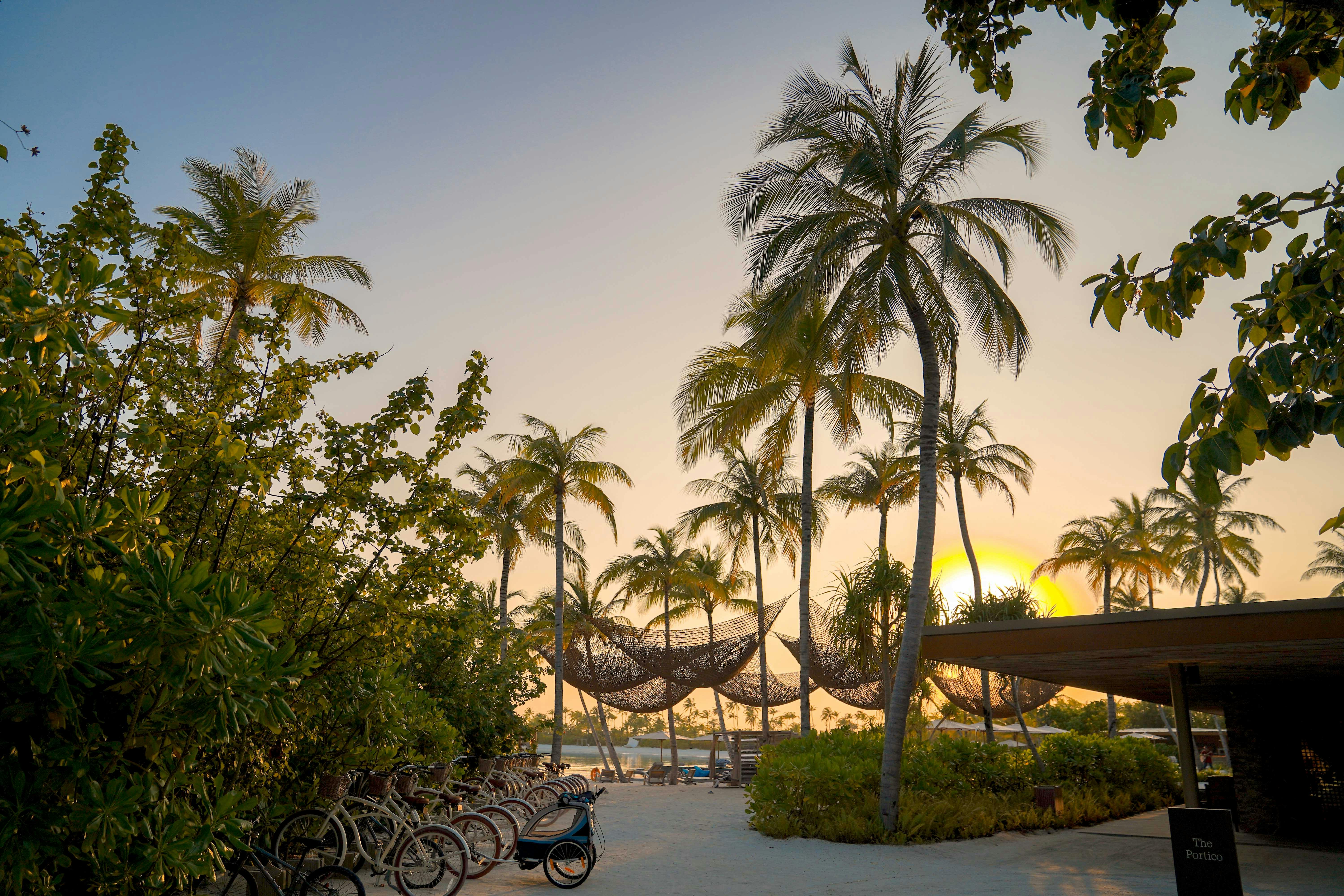 Explore a picturesque tropical beach with palm trees and bicycles at sunset, perfect for a relaxing vacation.