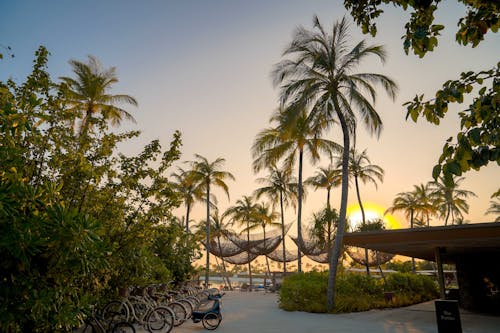 Sunrise over a Resort on a Tropical Island