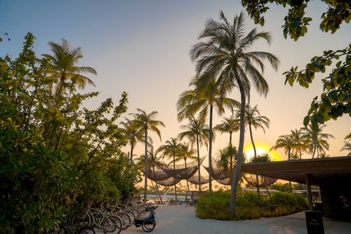 Free Explore a picturesque tropical beach with palm trees and bicycles at sunset, perfect for a relaxing vacation. Stock Photo