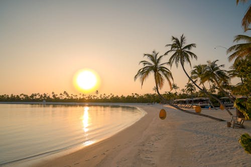 Free Tropical Beach at Sunset  Stock Photo