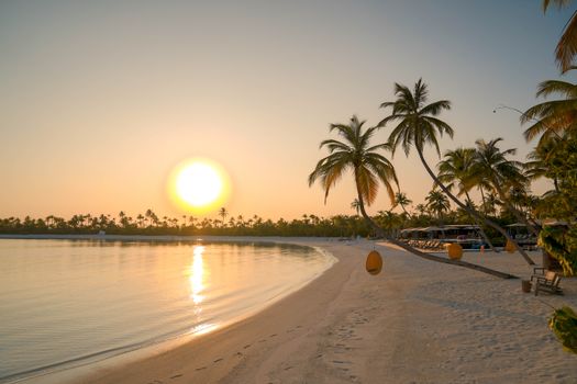 Idyllic tropical beach at sunrise with palm trees and golden sand, perfect for a serene vacation getaway.