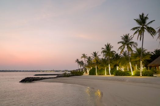 A serene tropical beach at twilight with illuminated palm trees and calm sea, perfect for relaxation.