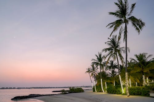 Tropical Beach at Dusk 