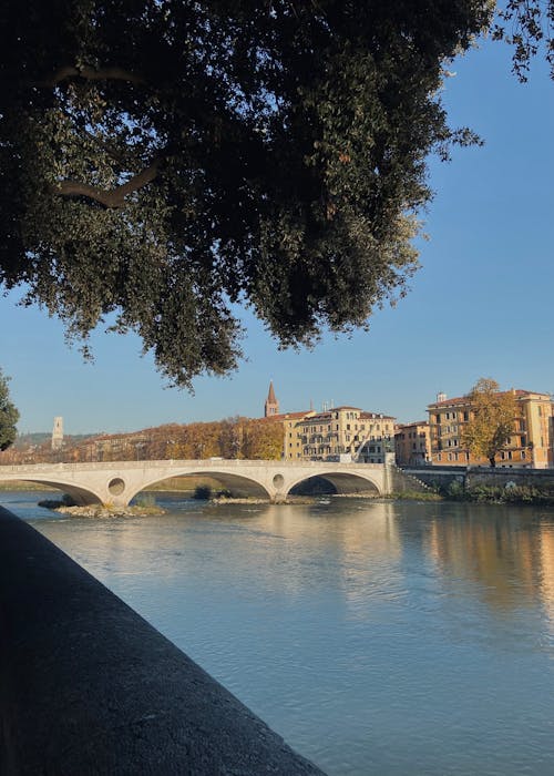 River and Bridge in Town