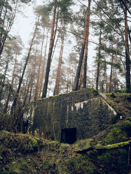 Old bunker in an autumn forest in Mazury in Poland
