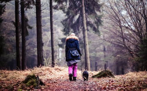 Person Walking with a Dog on Leash