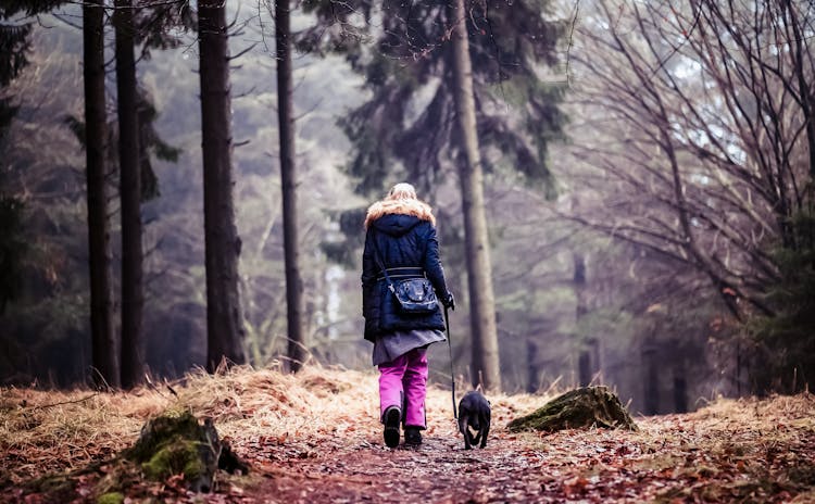 Person Walking With A Dog On Leash