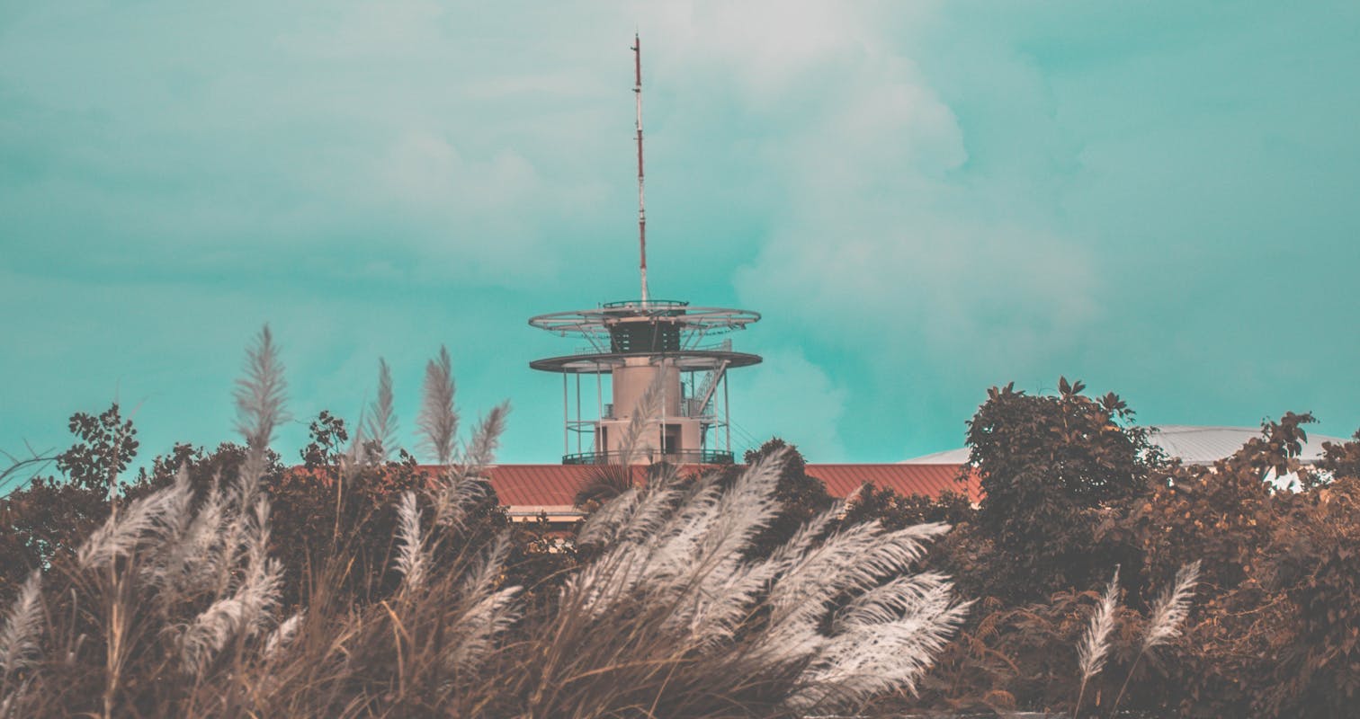 Green Tree Near Tower