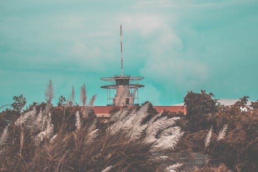 一座质朴的塔楼坐落在高高的草丛和树木之间，在蔚蓝天空的映衬下，户外场景显得格外宁静