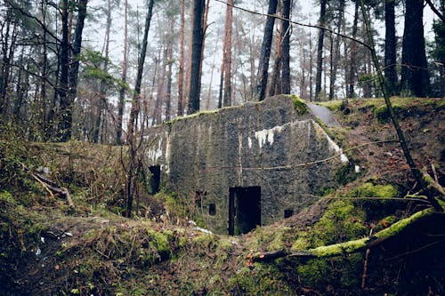 Bunker in Forest