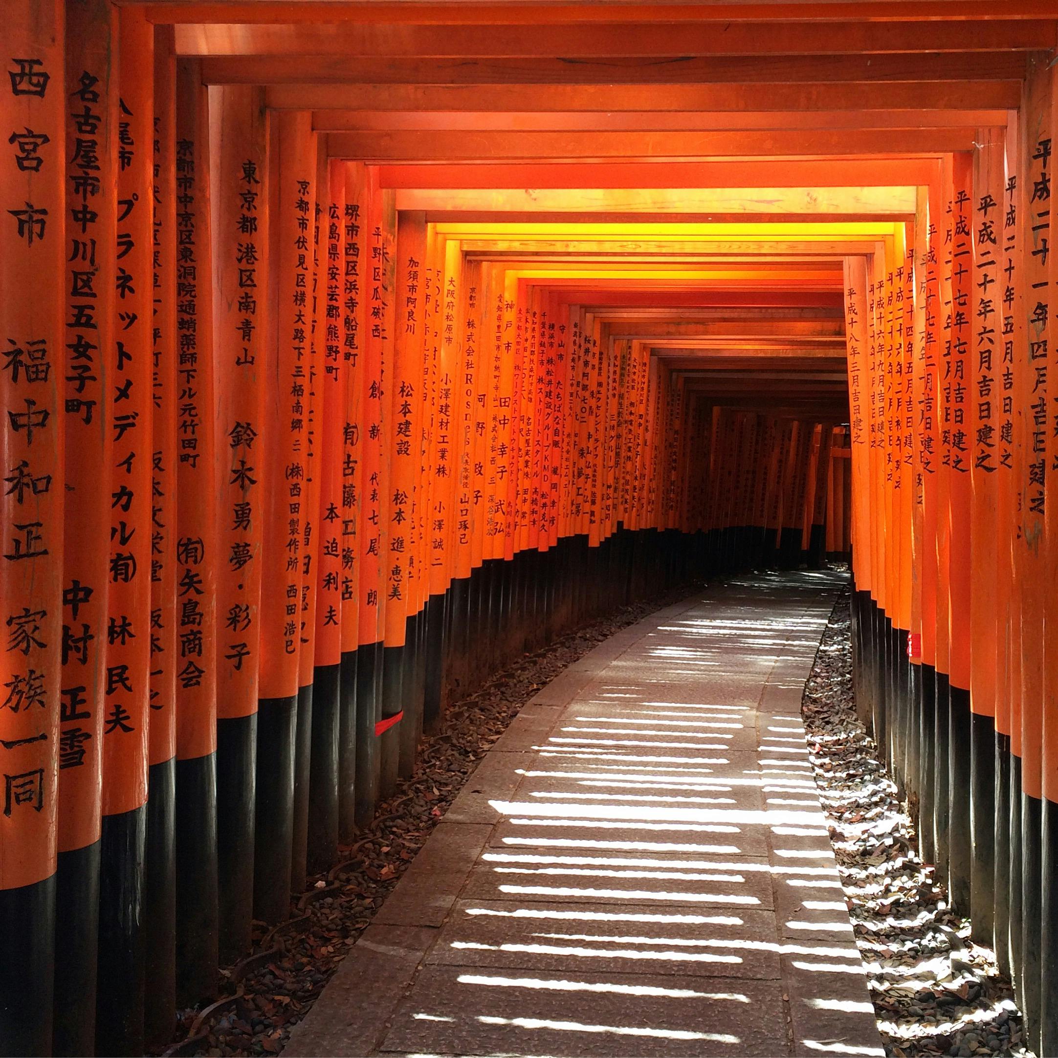 Free Stock Photo Of Japan Orange