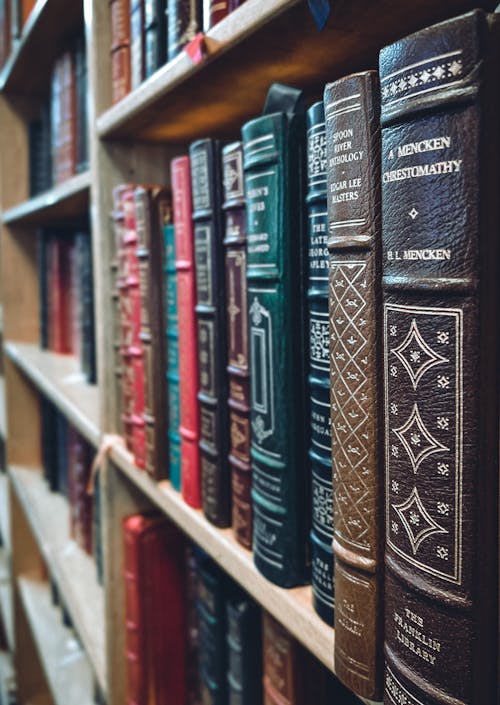 Photo of Books on a Shelf in the Library