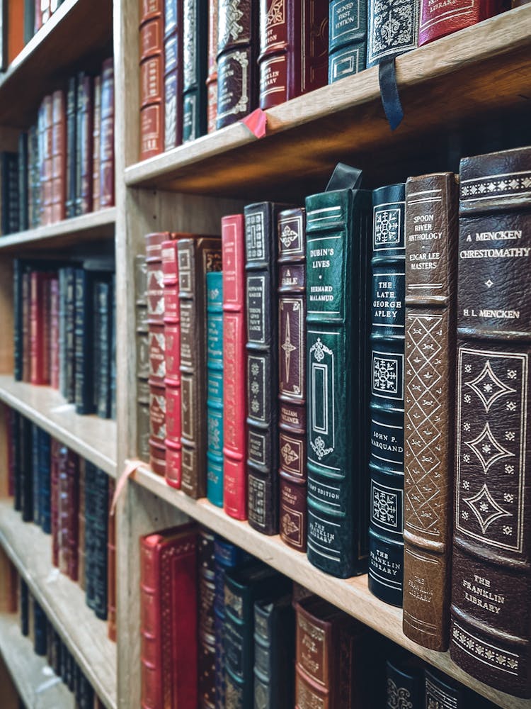 Bookshelves Filled With Books