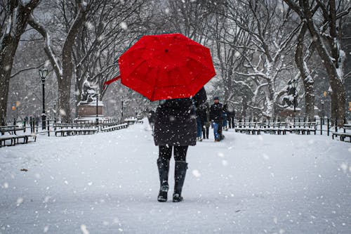 Person with Umbrella Walking at Park in Winter