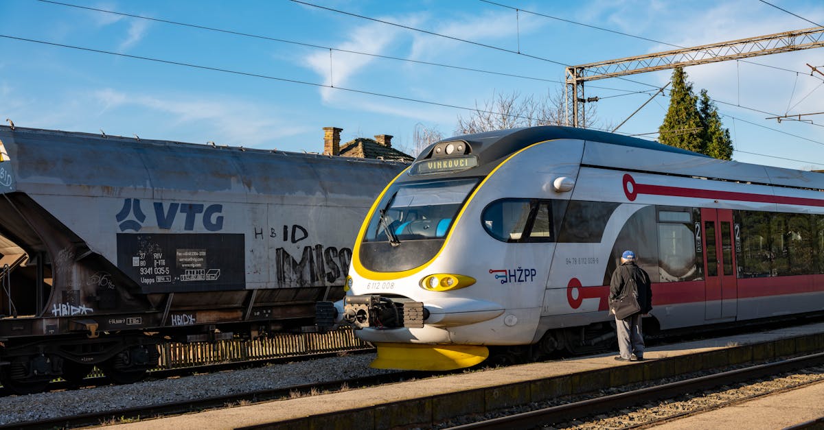 A modern train at a station while a passenger boards on a sunny day.