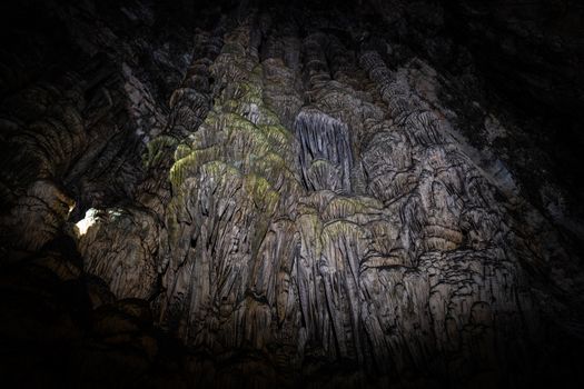Photo of the Wall with Stalactites in a Grotto