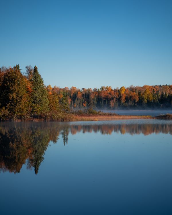Calm Lake near Trees under the Blue Sky · Free Stock Photo