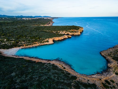 Drone Shot of the Coastline