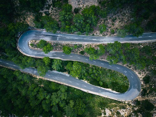 An Aerial Photography of Curved Road Between Green Trees