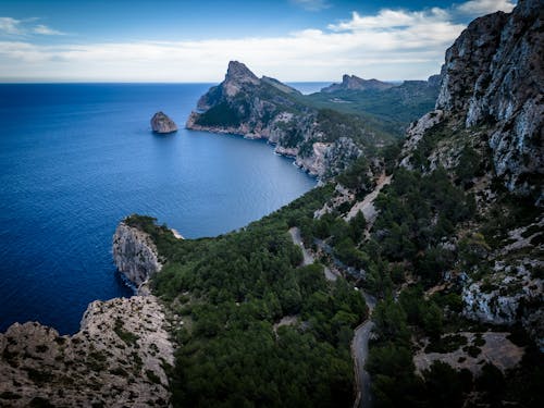 An Aerial Photography of Green Trees on Rock Formations Near the Ocean