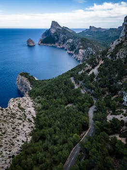 A breathtaking aerial shot of the rocky coastline and lush forests in Mallorca, Spain.