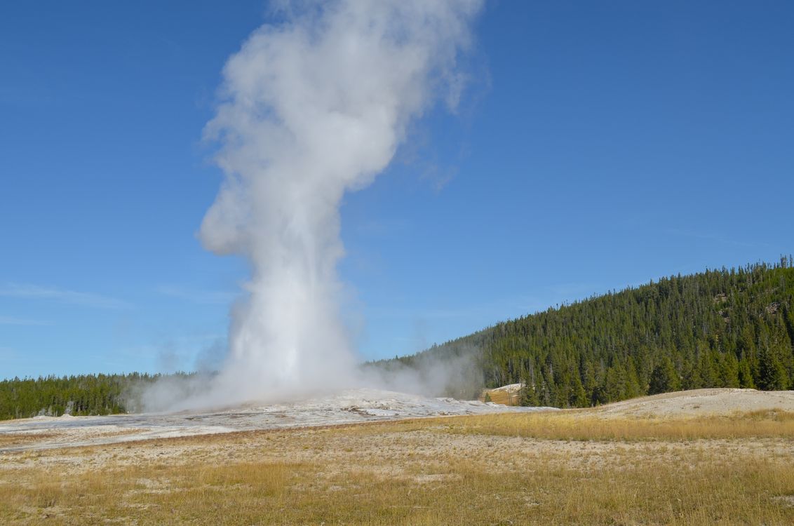 Old Faithful Erupting Under The Blue Sky Free Stock Photo old-faithful-erupting-under-the-blue-sky-free-stock-photo