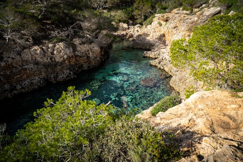 Darmowe zdjęcie z galerii z drzewa, erozji, natura