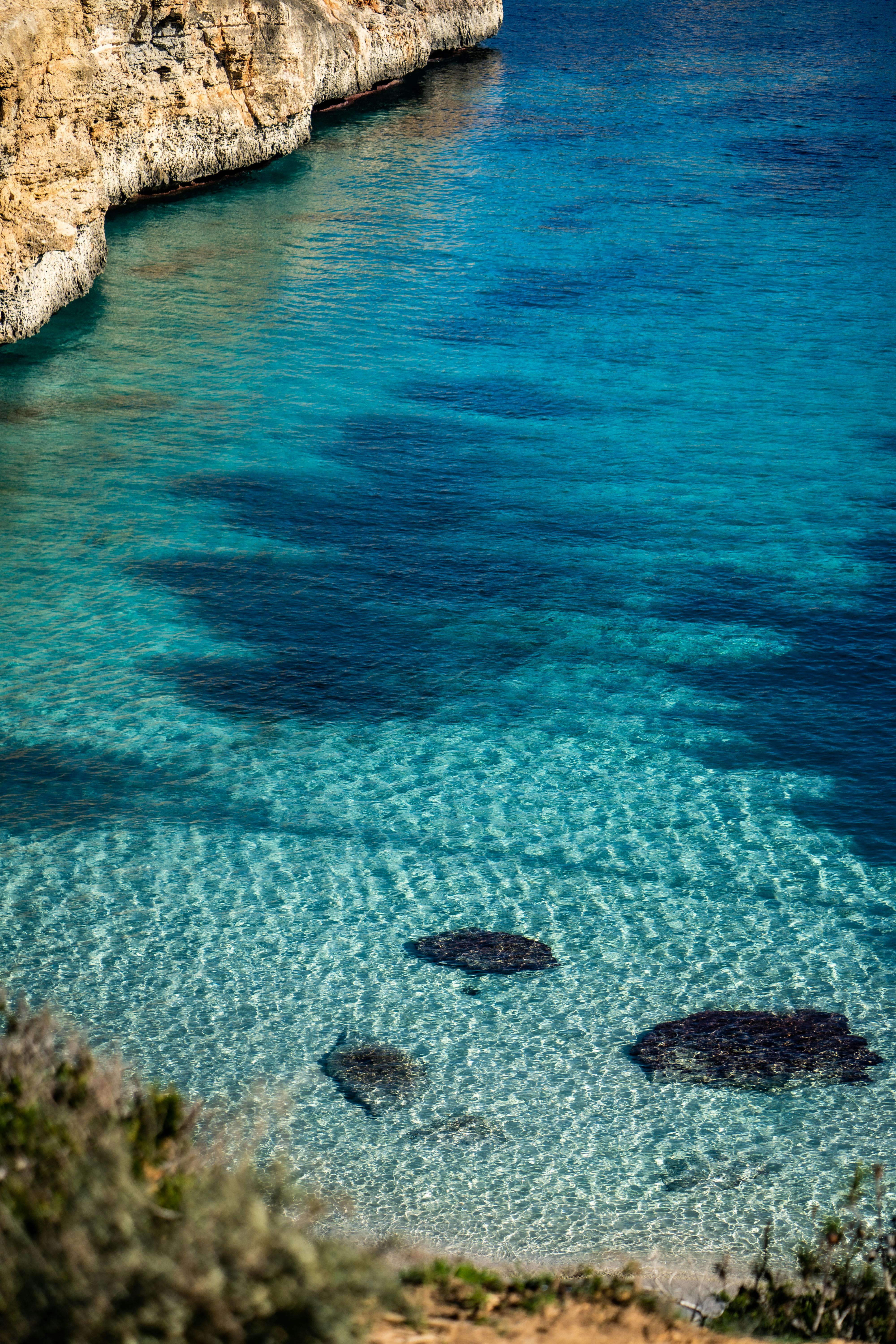 What does Turbinado mean Tropical Smoothie?