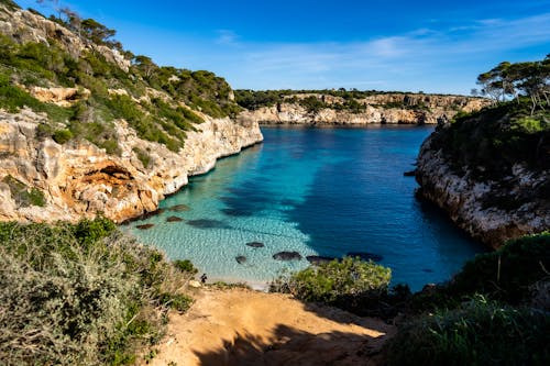 Rocks and Trees around Bay