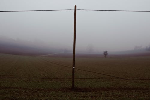 Fence in Field in Countryside in Fog