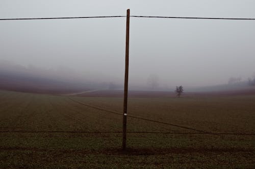 Fotos de stock gratuitas de amanecer, cable, campo