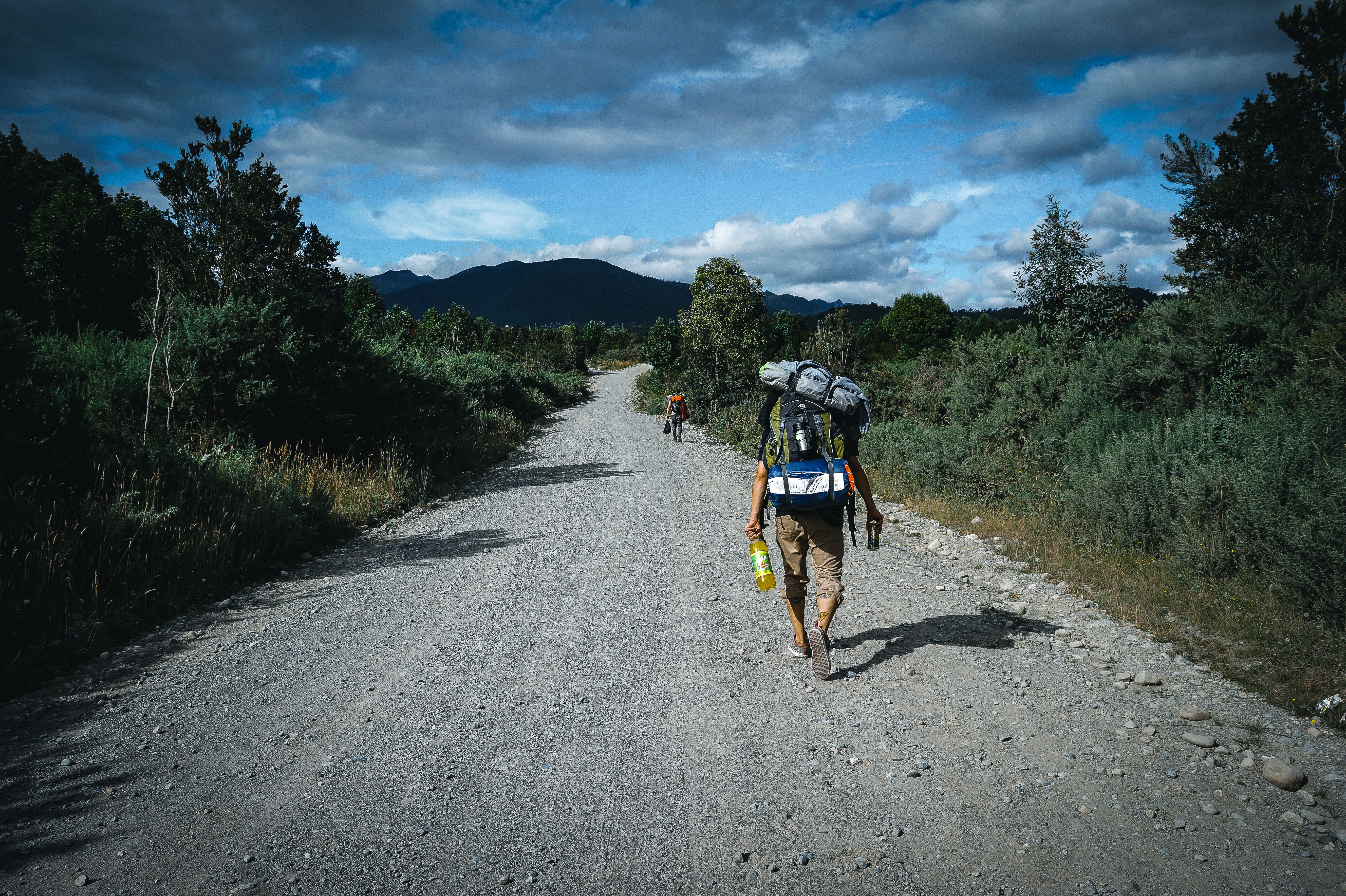 Back View of Man Hiking on Dirt Road in Forest · Free Stock Photo