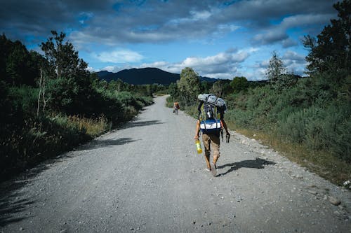 Back View of Man Hiking on Dirt Road in Forest