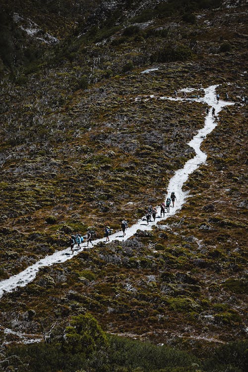 Drone Shot of a People Going Hiking Together 