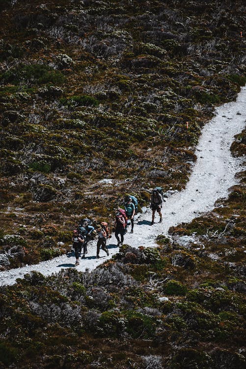 People Going Hiking Together