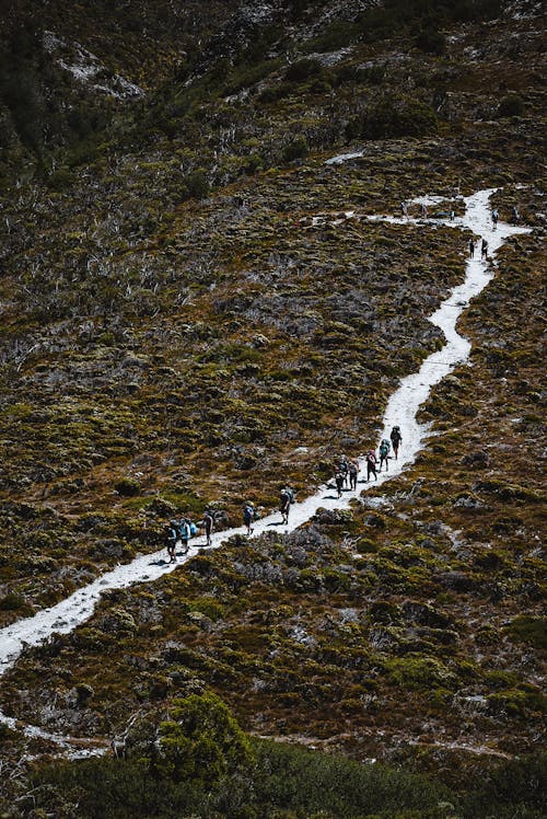 People Going Hiking Together