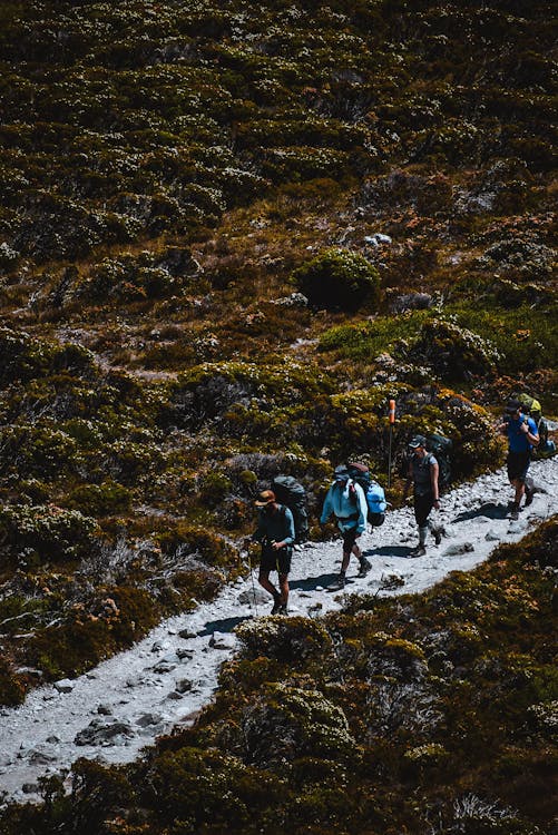 People Going Hiking Together