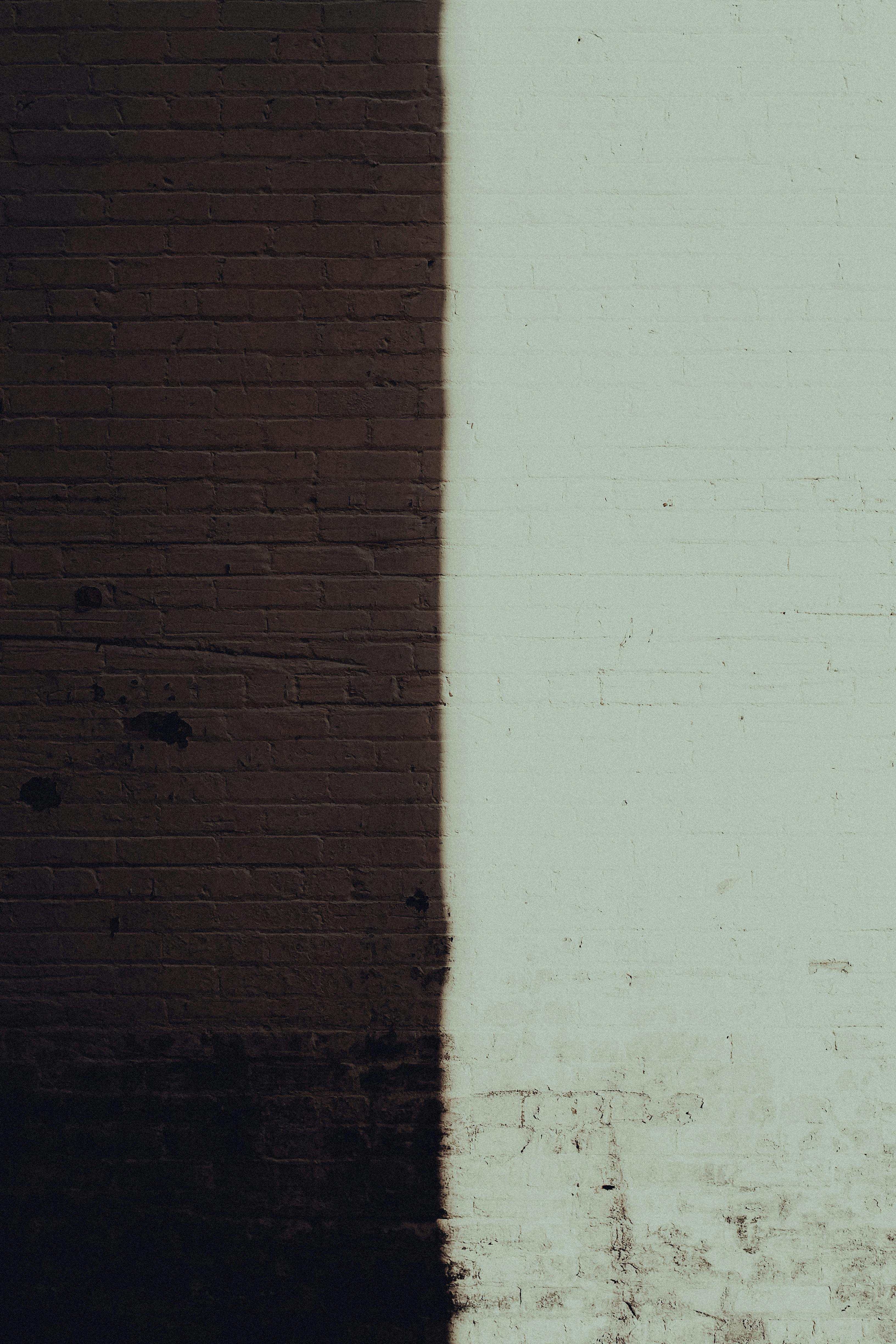 half black half white forces