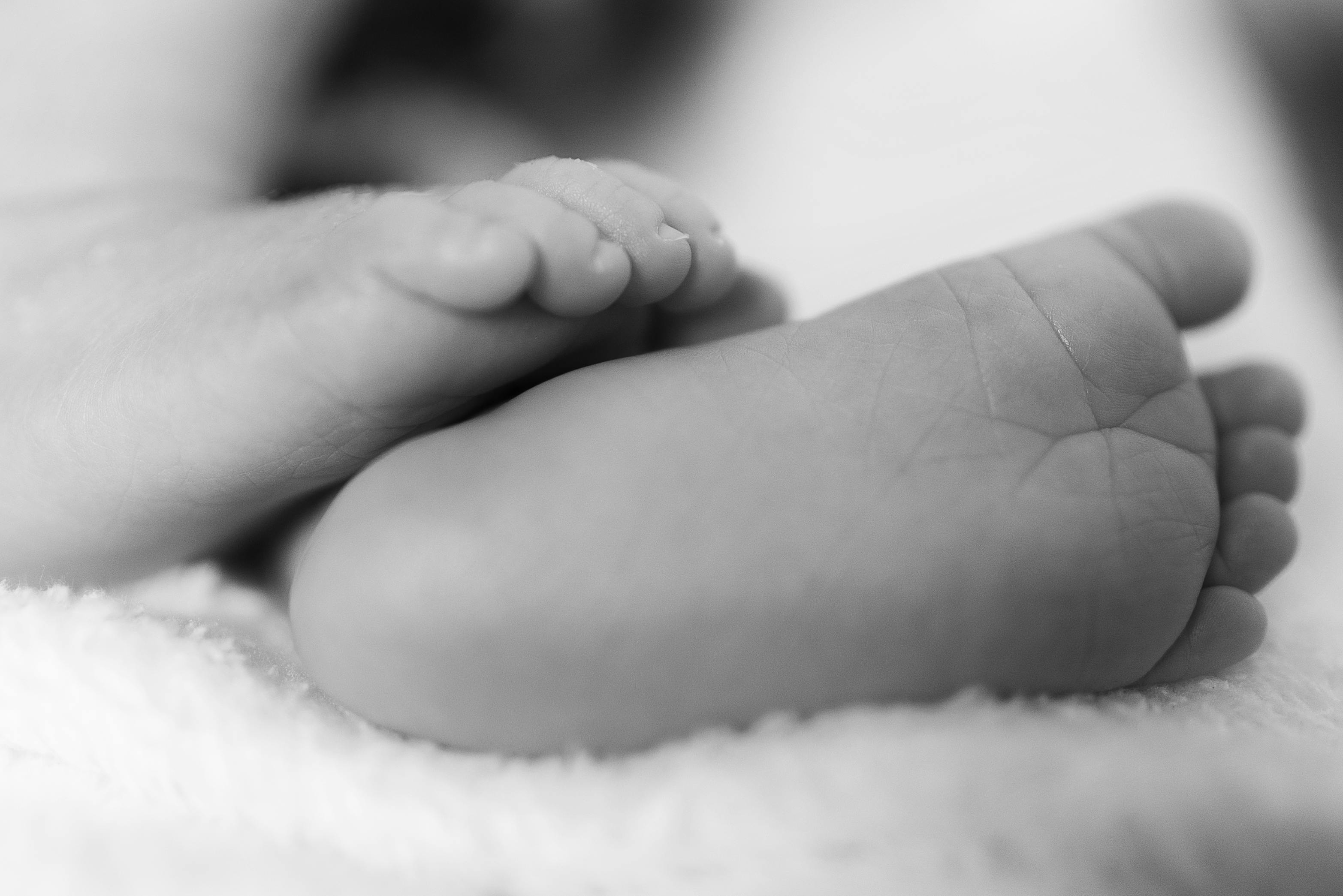 Baby's Feet on Brown Wicker Basket · Free Stock Photo