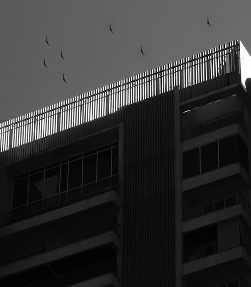 Block of Flats in Black and White