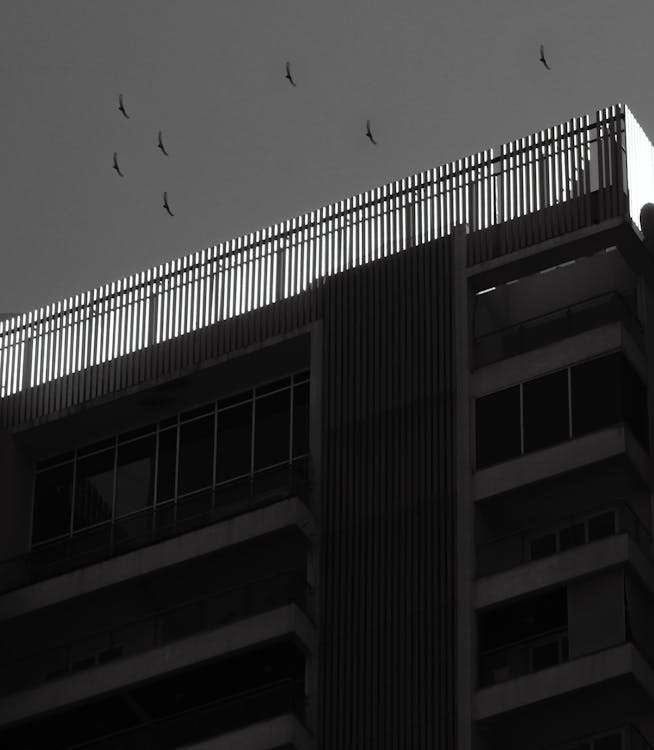 Block of Flats in Black and White · Free Stock Photo