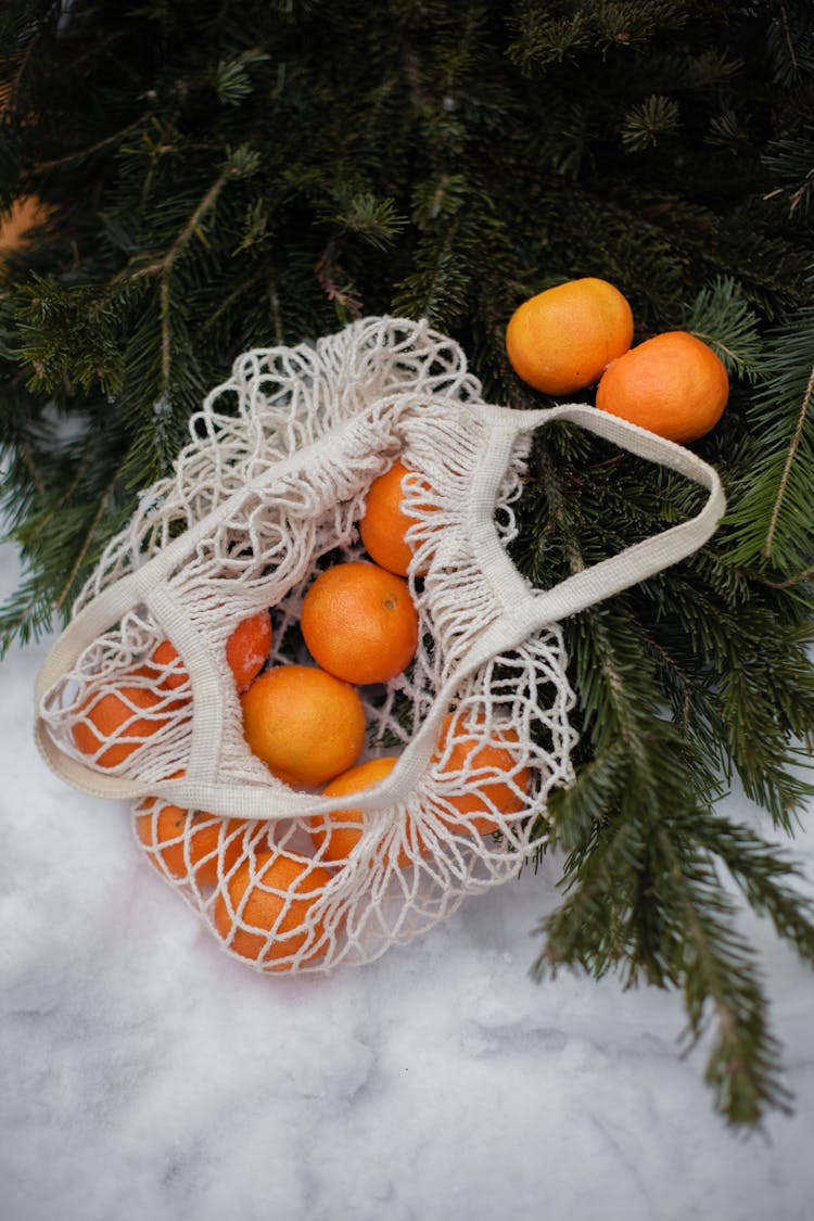 Photo Of Oranges Lying In A Bag On The Snow And Green Pine Branch