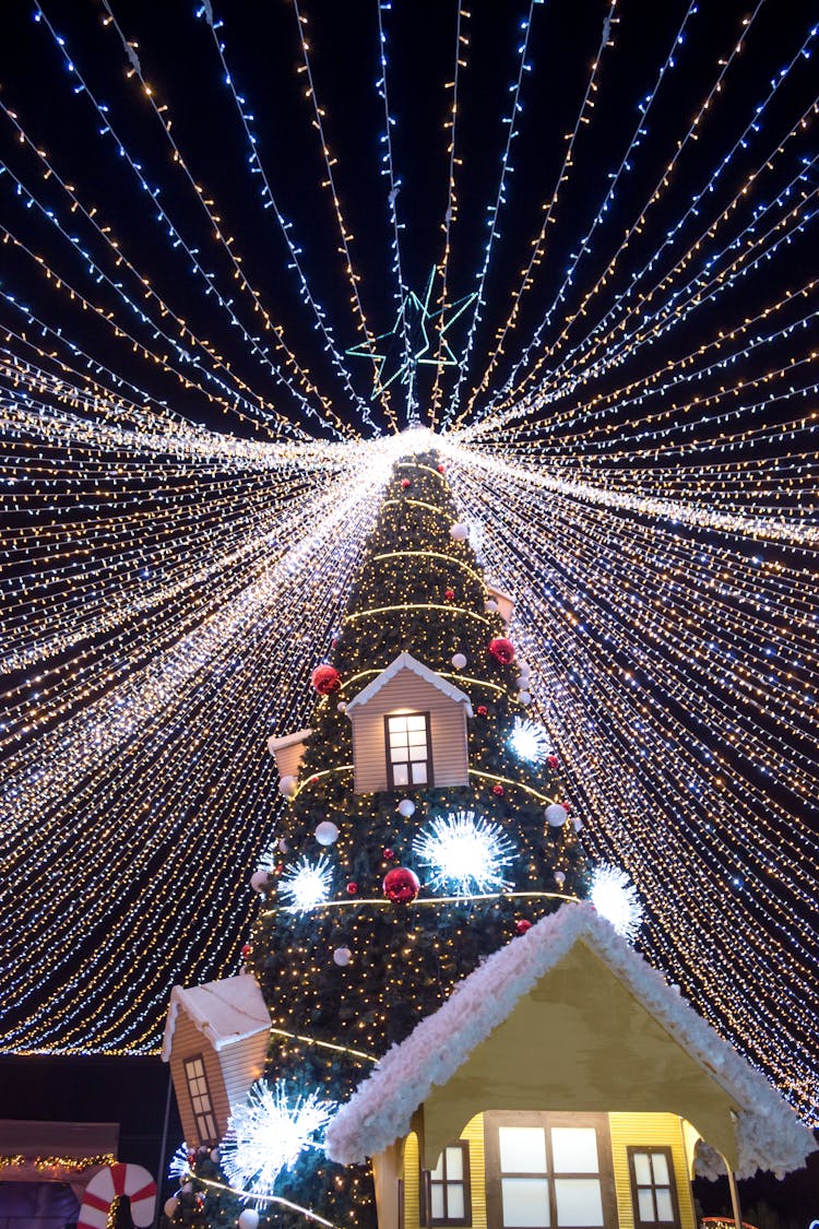 Huge Illuminated Christmas Tree