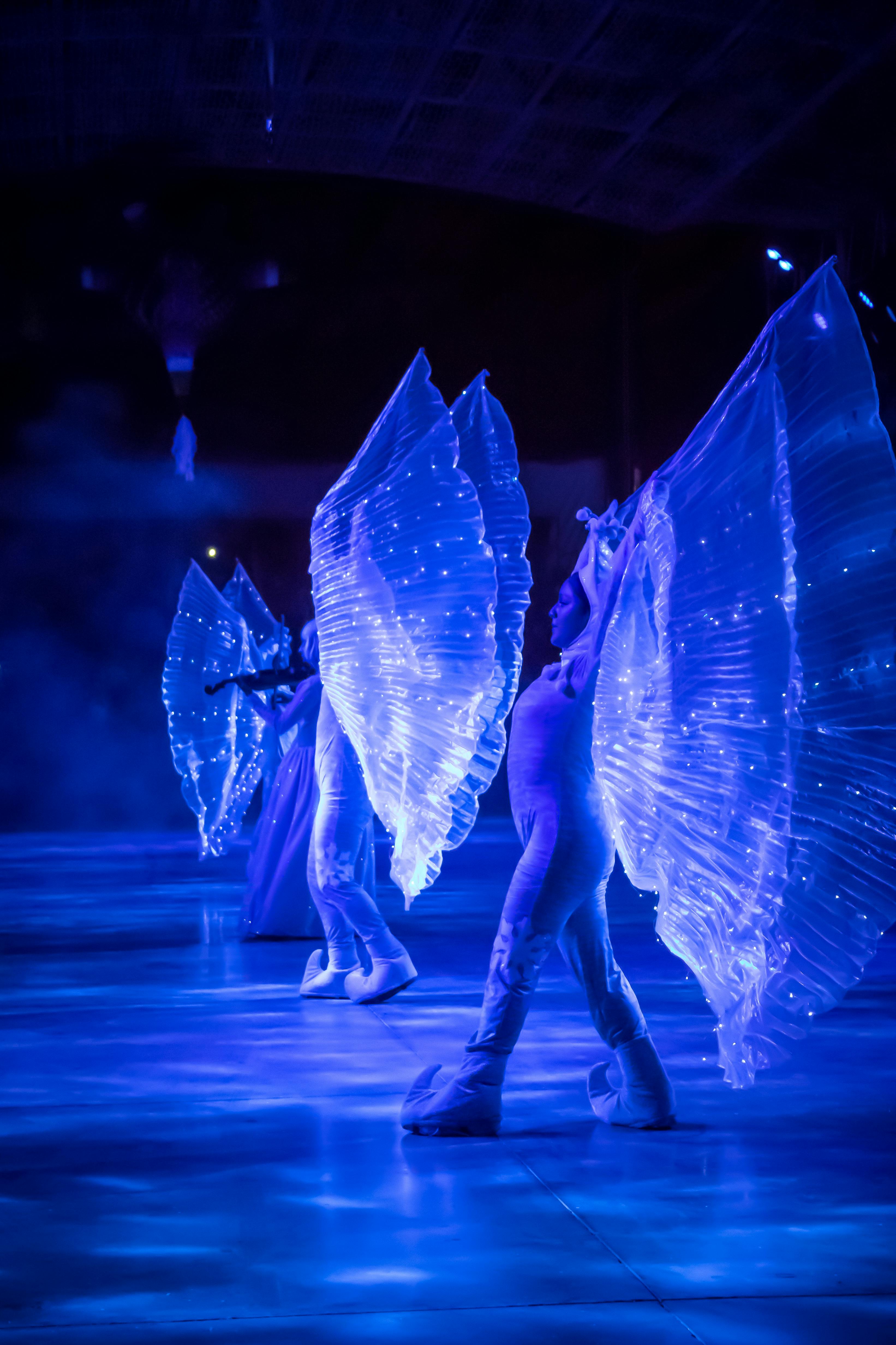 Free Colorful performers with lighted wings on stage during a nighttime show. Stock Photo