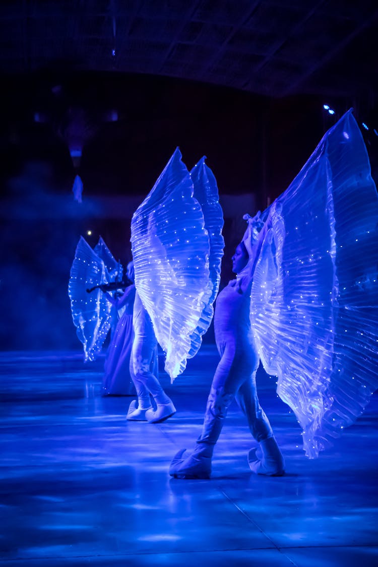 Performers In Butterfly Costume On Stage